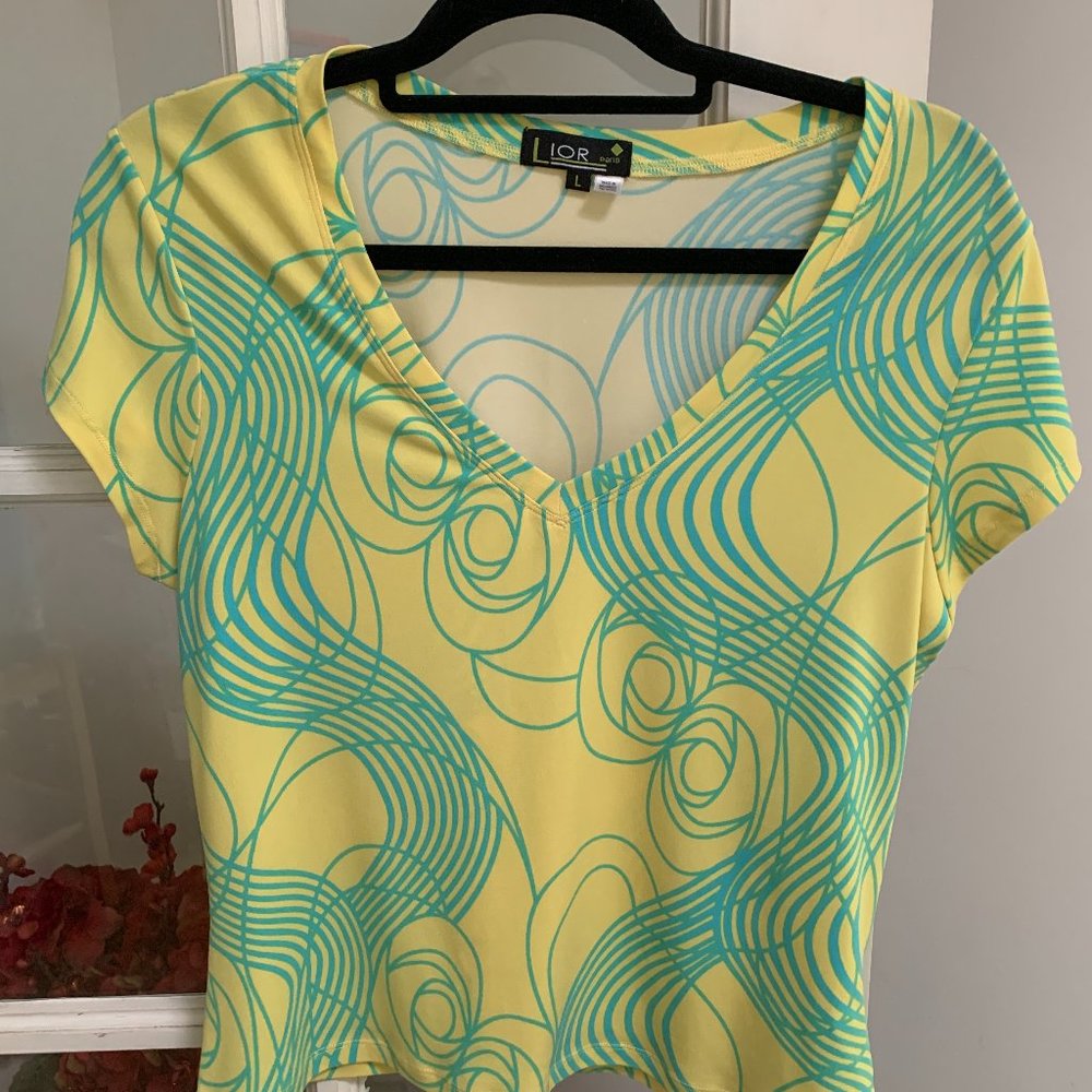Lior Paris Size Large V Neck Silky Top